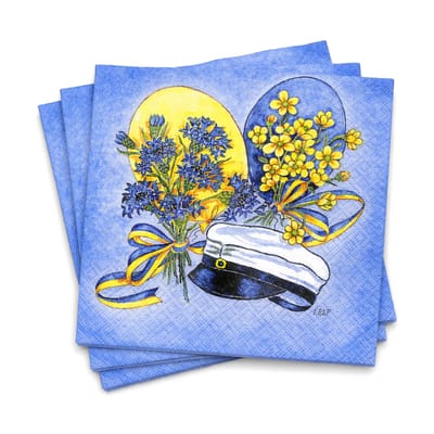 Student Kaffeservetter Blå