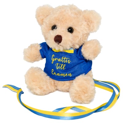 Student Nallebjörn Grattis Till Examen