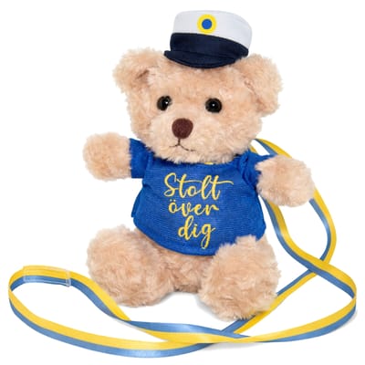 Student Nallebjörn Stolt Över Dig