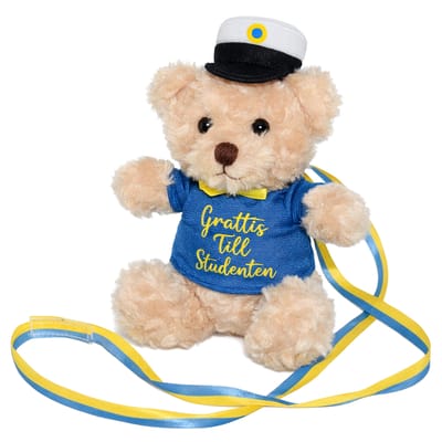 Studentnalle Grattis Till Studenten