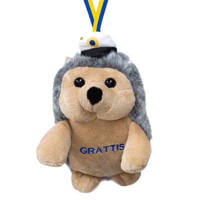 Studentnalle Igelkott