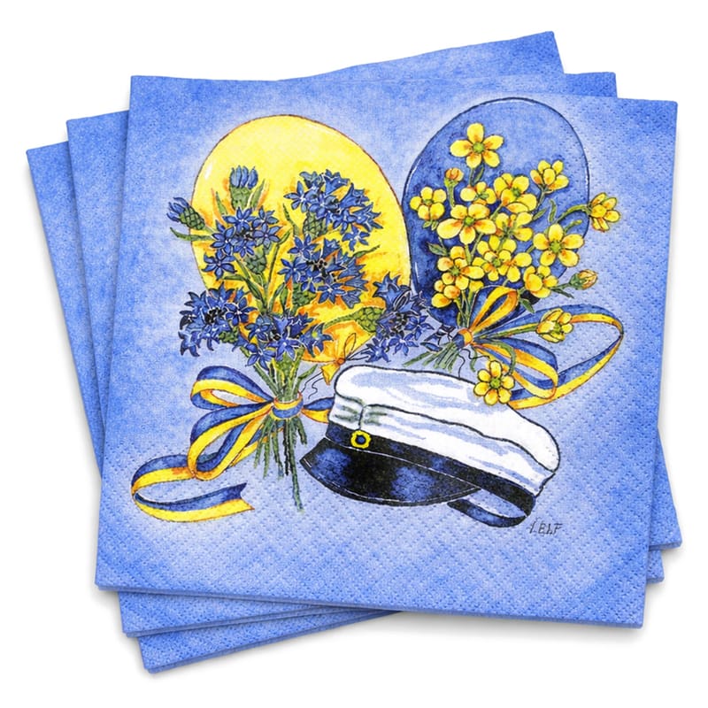 Student Servetter Blå